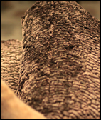 VIEW OUR FABRIC PRODUCTS - Wren River Interior designers | Love the space you're in.